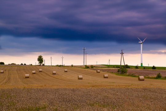 Summer landscape with wind turbines