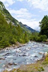 Fototapeta na wymiar Small river in the Blausee