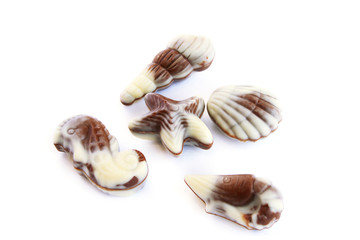 Chocolate seashells