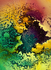 multicolored rough back