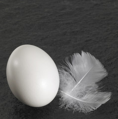 egg and down feathers