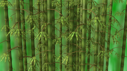 Bamboo forest over green background