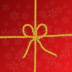 Vector Christmas gift - snowflake background