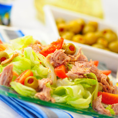 Salat 