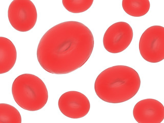 3D rendering of red blood cells