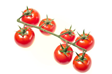 Seven cherry tomatoes isolated on white  background