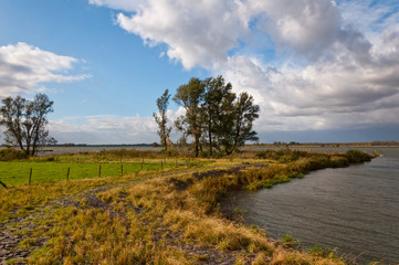 Fototapeta premium View on the riverside in stormy weather
