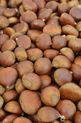 castagne
