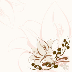 lily background © fiftyfour media