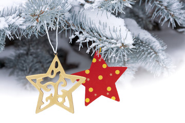 Christmas stars