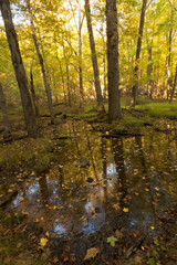 Obraz premium Fall Scenery.