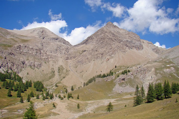 Fototapeta premium Le Mont Pelat (3050 m), dans le Mercantour