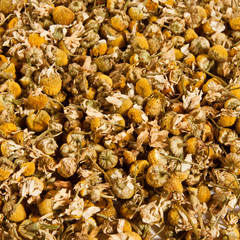 Pile of dried chamomile flowers