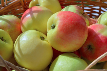 Basket with apples