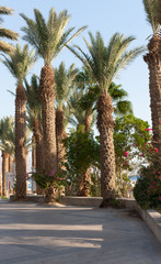 Fototapeta na wymiar Eilat