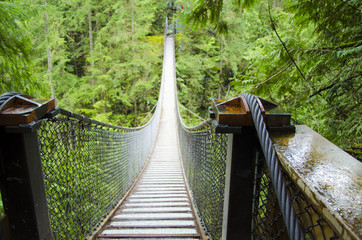 Lynn Canyon swing bridge