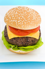 Classic Hamburger with cheese tomato and salad