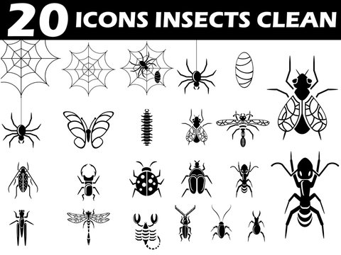 20 icons insects clean