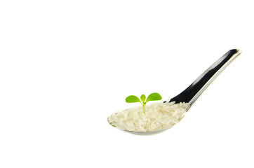 Green plant on spoon with rice isolated on white background.