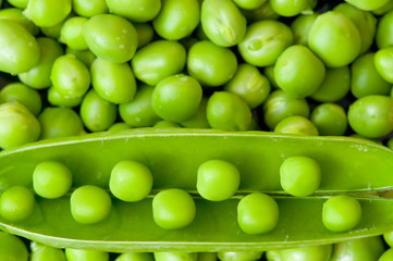 Pea background