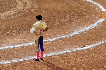 A Matador Challenges a Bull in a Bullfight