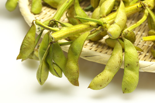 枝豆