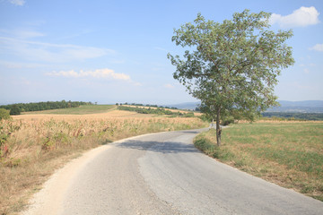 Fototapeta premium country tarmac road