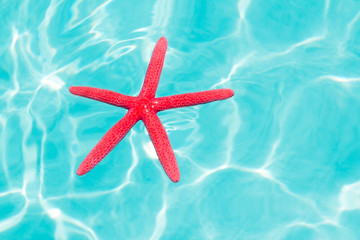 Fototapeta na wymiar Red starfish floating on perfect tropical sea