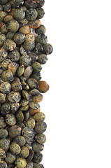 French Green Lentils