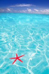 Fototapeta na wymiar Starfish as summer symbol in tropical beach