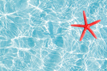 Fototapeta na wymiar floating red starfish in turquoise sand beach
