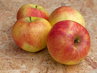 Äpfel - Malus