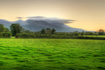 Idyllic sunset scenery over irish meadow