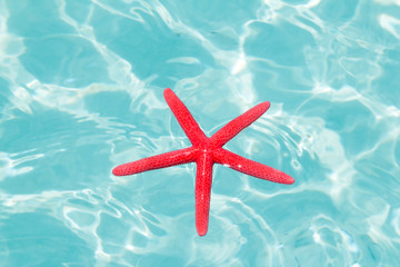 Fototapeta na wymiar Red starfish floating on perfect tropical sea