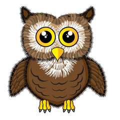Cute looking owl