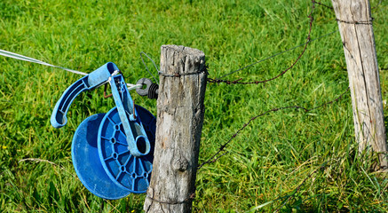 fil,barbelécâble,clôturere,piquets,pré,bétail © ursule