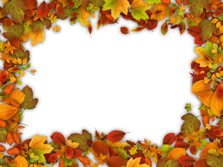 Naklejka na ściany i meble Frame made of autumn leaves.