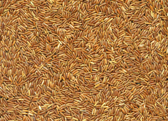 rice texture