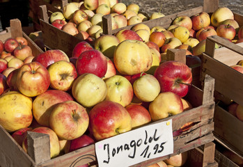 Apfelkisten