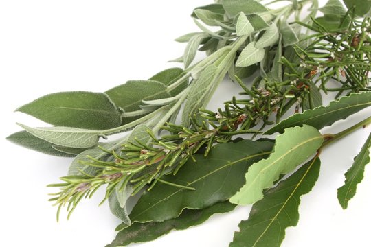 salvia, alloro e rosmarino