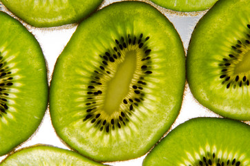 Fototapeta premium Kiwi