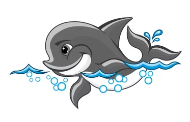 Foto op Plexiglas Baby dolfijn © Vector Tradition