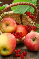 Basket of apples and viburnum.