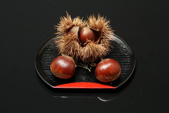 2 252 件の最適な 秋の和菓子 画像 ストック写真 ベクター Adobe Stock 2 252 件の最適な 秋の和菓子 画像 ストック写真 ベクター Adobe Stock