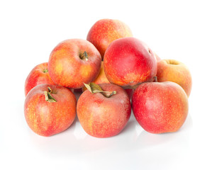 Fototapeta na wymiar fresh healthy organic apples