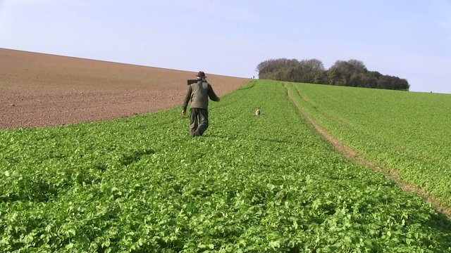 chasseur et son chien