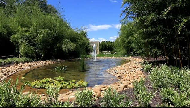 bassin de jardin et jet d'eau