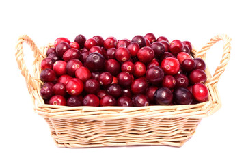 cranberry in the wicker basket isolated on white background