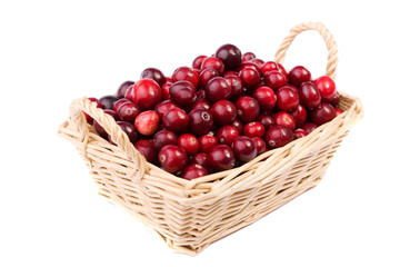 cranberry in the wicker basket isolated on white background