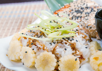 salmon with rice and cream sauce